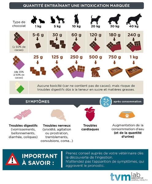 infographie-chocolat-.jpg