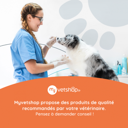 myvetshop-demander-conseil.png