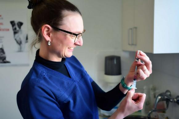 vaccin lapin vaccin lapin
