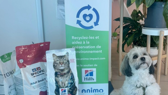 Comment recycler les paquets de croquettes vides avec Animo Impact ?