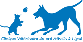 Logo Clinique vétérinaire Ligné